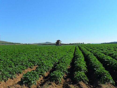 智慧农业产业园 的发展有助于提高农产品生产效率和质量.